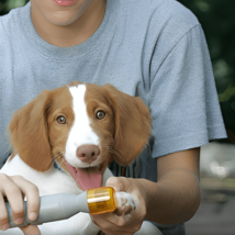 Ergonomic Painless Dog Nail Clipper For Your Pet: Safe and Quick Nail Trimming a - $24.97