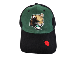 Kane County Cougars Principal Financial Group MILB Promotional Adventures - £8.25 GBP