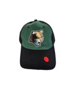 Kane County Cougars Principal Financial Group MILB Promotional Adventures - €8,95 EUR
