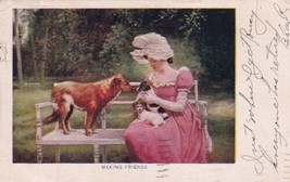 Making Friends Dogs Lady Bench 1908 Kansas City to Akron Ohio Postcard B16 - $2.96