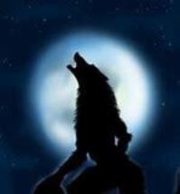 Haunted werewolf Lycan Awakening Transformation Become a WEREWOLF power senses - £39.04 GBP
