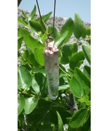 Uv reactive crystal pendant   Petroleum quartz   Terminated quartz - $67.67 CAD+
