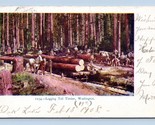 Logging Tall Timber Lumber Camp Washington State WA UDB Postcard Q8 - $12.82
