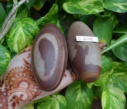 Narmadeshwar Shiva lingam is the holy symbol of union  Lord shiva and god ~I-019 - £53.07 GBP