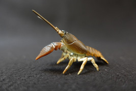 Yujin Takara Kaiyodo Retired Japan Exclusive Secret SP Japanese Crayfish - £29.73 GBP