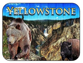 Yellowstone National Park with Bear and Bison Fridge Magnet - £5.49 GBP
