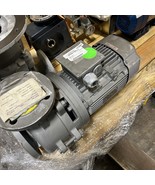 Edur NUBL600E 125L/4.0KW RS4 EFD Pump.   NEW!! - $2,043.70 CAD