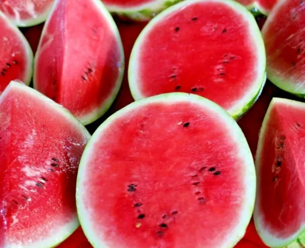 50+ Seeds Sugar Baby Watermelon Super Sweet Fruit Heirloom Non-Gmo Melon Usa Gar - £5.25 GBP