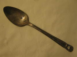 WM Rogers MFG Co. Eternally Yours Pattern Silver Plated 6&quot; Tea Spoon #2 - $5.00