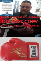 Andy Ruiz Jr Boxing Champion autographed boxing glove COA exact proof Beckett  - £158.26 GBP