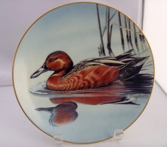 Duck The Cinnamon Teal,8 ½ “gold rim collectible Porcelain plate GERALD ... - £7.80 GBP