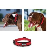 Red Reflective Paracord Rope Weave Fashionable Durable Secure Buckle Dog... - $25.90 CAD+