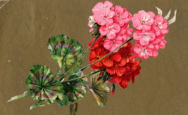 c1910 Postcard Pink - Red Flowers - £3.91 GBP