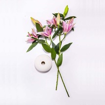 100 Grains Colorful Lily Flower Lilium Garden Flower - $4.11