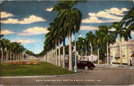 Vintage Postcard Royal Poinciana Way West Palm Beach Florida  Vtg Car (A14) - £4.62 GBP