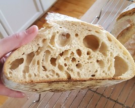 San Francisco Sourdough Starter Yeast Makes Big Holes Sally - £6.96 GBP