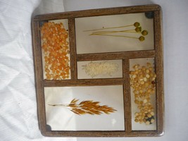 Lucite Thick Seed &amp; Wheat Square Wall Hanging Kitchen Trivet 7 5/8&quot; x 7 3/4&quot; - £17.53 GBP