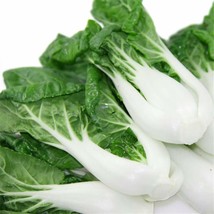 500+ Pak Choi Cabbage White Stem Chinese NON-GMO Vegetable Seeds - £14.55 GBP