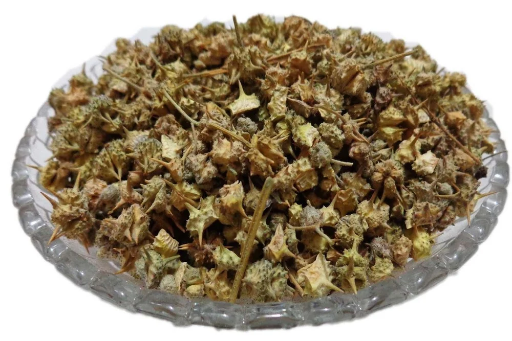 Caltrops Weed - $279.65 MXN - $2,322.49 MXN