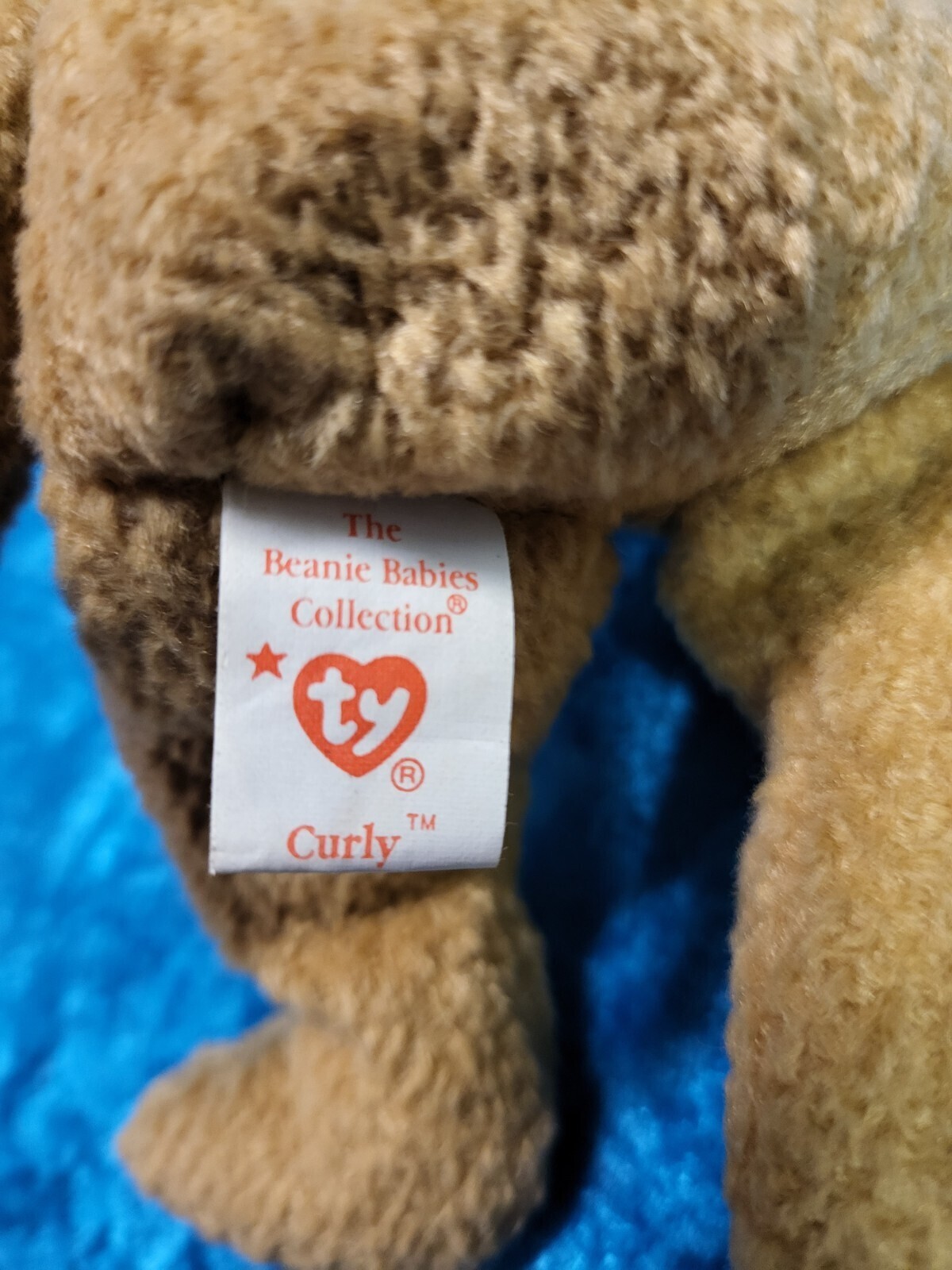 Ty Beanie Babies Curly The Bear Plush Toy - 4052 with Tag Protector Item image 7