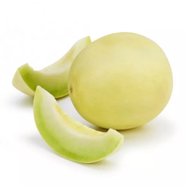 KS Fresh Quality Green Flesh HoneyDew Premium Melon 25 Seeds  - £7.25 GBP