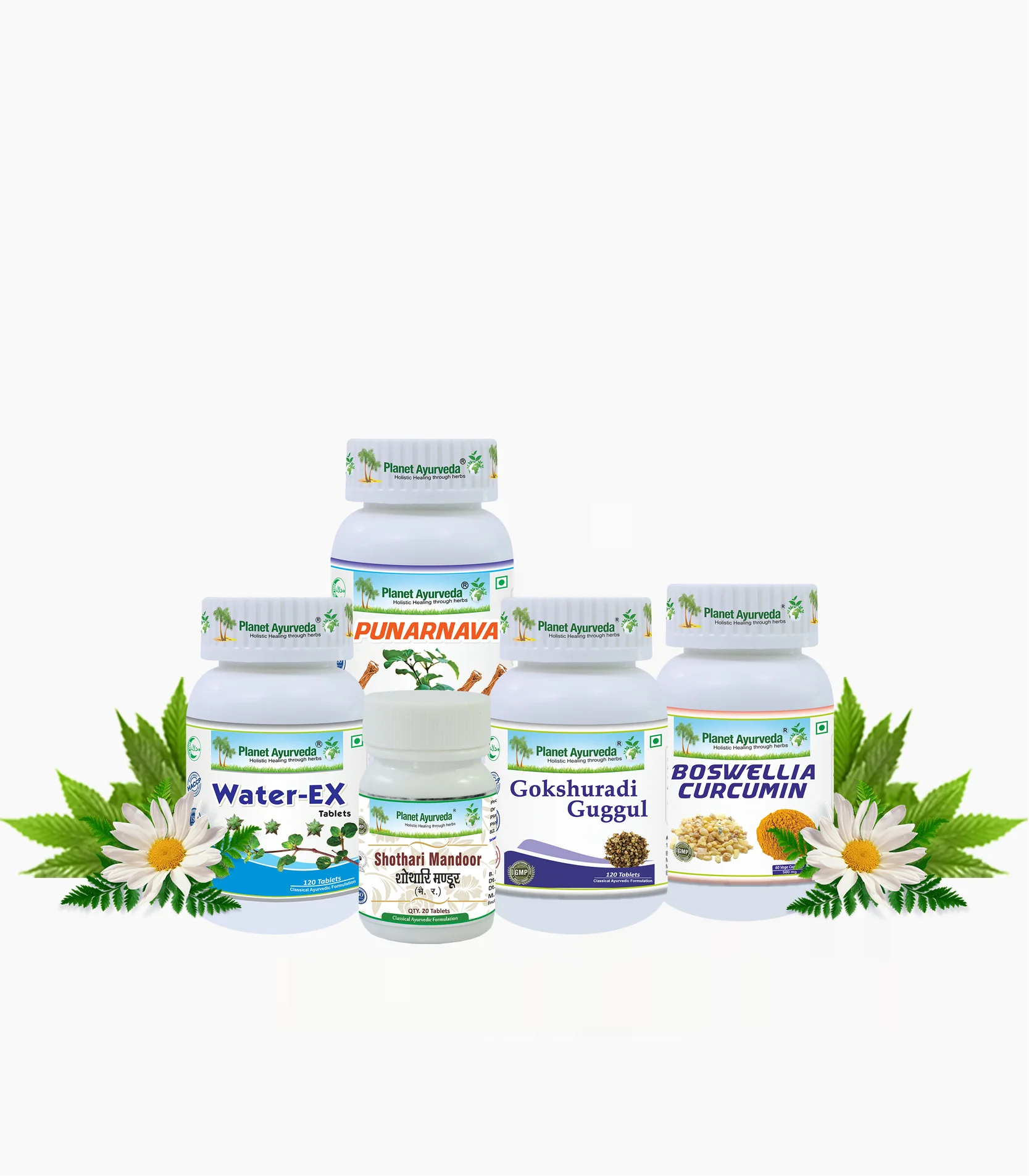 Planet Ayurveda Anasarca Care Pack with Free Shipping - $364.00