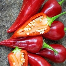 Item image 1 image 1