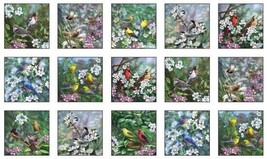 24&quot; X 44&quot; Panel Birds Bird-Watching Flowers Tweethearts Fabric Panel D487.83 - £18.17 GBP