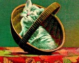 Adorabile Gatto Gattino IN Cesto Piccolo Spacco Unp Non Usato 1910s DB C... - $9.16