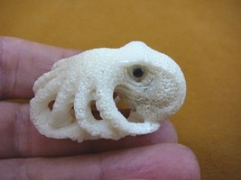 tb-octo-12) white Octopus TAGUA NUT palm figurine Bali carving ocean ree... - £33.33 GBP