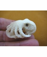 tb-octo-12) white Octopus TAGUA NUT palm figurine Bali carving ocean ree... - $42.06