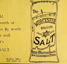 Worcester Salt Nash Whiton NY 1894 Advertisement Victorian Spices 1 ADBN1m - £10.15 GBP