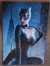 DC Catwoman Glossy Print 11 x 17 In Hard Plastic Sleeve - £18.66 GBP