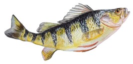 Yellow Perch Fish High Quality Art Decal Sticker Truck Wall Cup Cooler T... - $6.95+