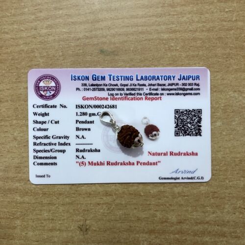 Lab Certified 925 Silver + 5 Mukhi RUDRAKSHA Panchmukhi Rudraksh 5 Face Pendant Item image 2