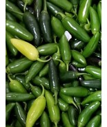 SKM Jalapeno Tam Pepper Seeds 50 Vegetable Non Gmo Heirloom Easy to Grow - $12.97