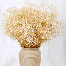 Dried Babys Breath Flowers Bouquet-17 Inch 2500+ Ivory White Dry Flowers, Natura - £20.10 GBP
