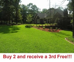 SD Centipede Grass Seeds Starter 6000-8000 Seeds Fast Grow - $384.24 MXN