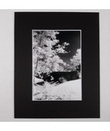 Black Mat Photo Landscape Park Infrared Photography Bridge Trees Art Print - $19.40
