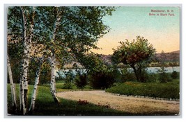 Pathway In Stark Park Manchester New Hampshire NH UNP DB Postcard H20 - £2.32 GBP