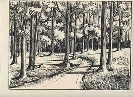 Path Through the Trees Pen &amp; Ink Original Drawing 13" x 9 1/4" E Duden - $27.72