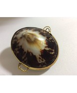 Pearly Cowry SeaShell Brass Hinged Snuff Pill coin ring Jewely Trinket Box - £15.00 GBP