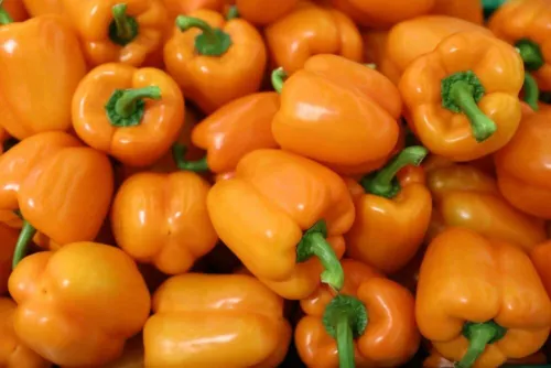 100 Orange King Bell Pepper Seeds To Grow Sweet Orange Peppers Fresh Seeds - $20.58