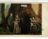 General Fremont Postcard Big Trees Santa Cruz 1915 RPO Seattle &amp; Seward ... - £21.75 GBP