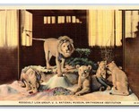 Roosevelt Lion Group National Museum Washingotn DC Linen Postcard W20 - $1.93