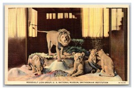 Roosevelt Lion Group National Museum Washingotn DC Linen Postcard W20 - £1.51 GBP