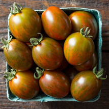 50 Seeds Chocolate Sprinkles Tomato Juicy Vegetable Edible Beautiful Garden Fres - £9.79 GBP