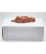 Disposable Foot Sox – Try on Socks –Slip on Sox – Peds –1 Gross - €5,18 EUR