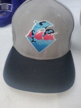 Pink +  Dolphin Gray Hat Dolphin Logo Cap Cotton Poly Blend - $19.79
