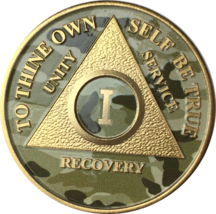 Camo &amp; Gold Plated AA Medallion Any Year or Month 1 - 65 Chip - £15.92 GBP